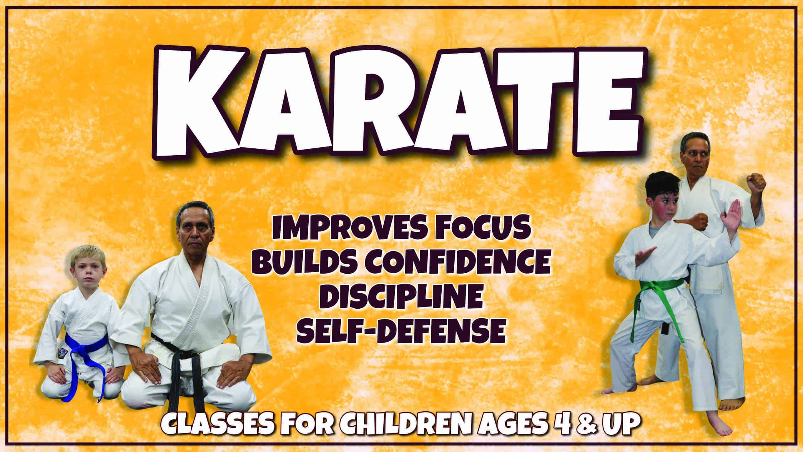 Karate Banner Website